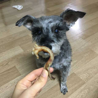 [펫다이어리] 강아지 수제간식 — 3.83점을 준 리뷰어가 2018년 5월 올린 사용 사진
