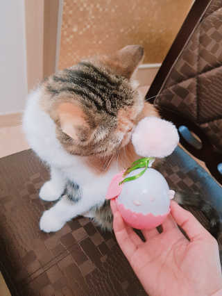 엘카몬님이 올린 리뷰 사진 3