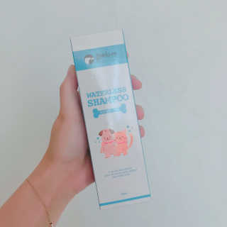 AramLee님이 올린 리뷰 사진 1