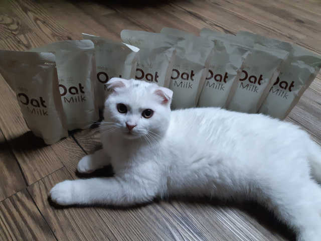 순오트밀크, soon oat milk 리뷰 사진