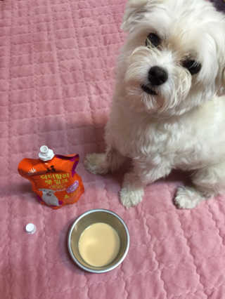 당근님이 올린 리뷰 사진 2