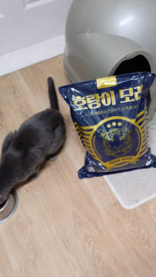 또이따인님이 올린 리뷰 사진 2