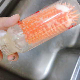 와니웅이님이 올린 리뷰 사진 3