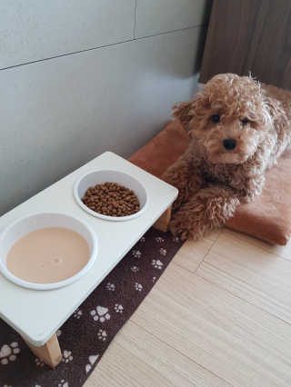 진리뷰님이 올린 리뷰 사진 2