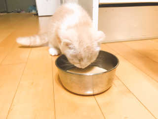 ye0229님이 올린 리뷰 사진 3