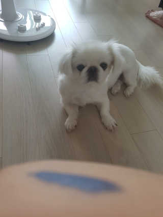 꽃당님이 올린 리뷰 사진 3