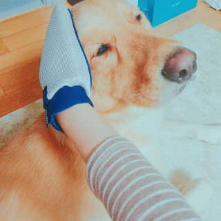 아보카도올리브님이 올린 리뷰 사진 1