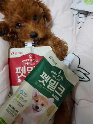 [빙그레] 에버그로 생유산균 1봉（10포입）+펫밀크2팩 — 3점을 준 리뷰어가 2019년 5월 올린 사용 사진