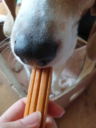 beaglelove님이 올린 리뷰 사진 3