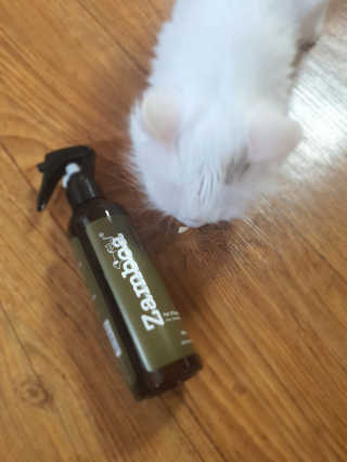 그리다님이 올린 리뷰 사진 1