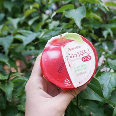 베비언스 아기푸딩 리뷰 사진