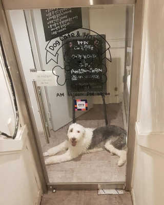 도리야님이 올린 리뷰 사진 2