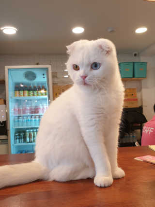 wony님이 올린 리뷰 사진 4