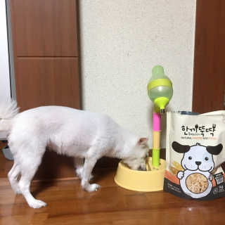 [펫토리아] 맛도 영양도 BEST 한끼뚝딱 강아지 사료 — 5점을 준 리뷰어가 2018년 12월 올린 사용 사진