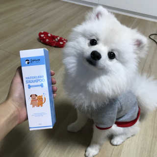 sun1017j님이 올린 리뷰 사진 1