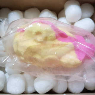 지순냐냥님이 올린 리뷰 사진 1