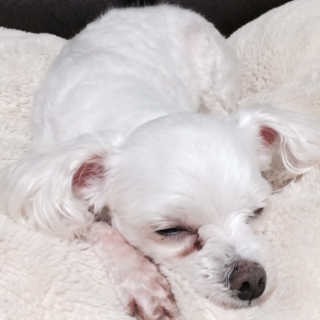 sso님이 올린 리뷰 사진 1