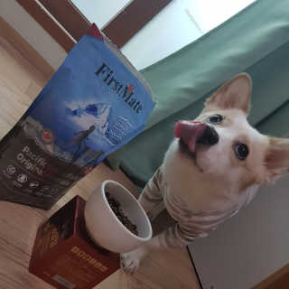 모델윤지님이 올린 리뷰 사진 1