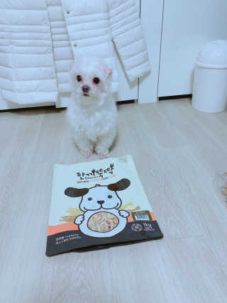 [펫토리아] 맛도 영양도 BEST 한끼뚝딱 강아지 사료 — 5점을 준 리뷰어가 2019년 4월 올린 사용 사진