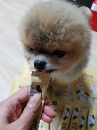 [펫토리아]짜먹는 한입뚝딱 강아지.고양이 마약간식 — 5점을 준 리뷰어가 2019년 8월 올린 사용 사진