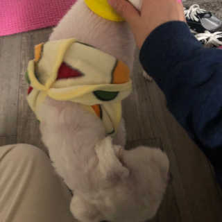 이렇게사라지기님이 올린 리뷰 사진 2
