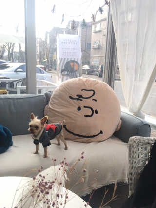 YeonseungSung님이 올린 리뷰 사진 4