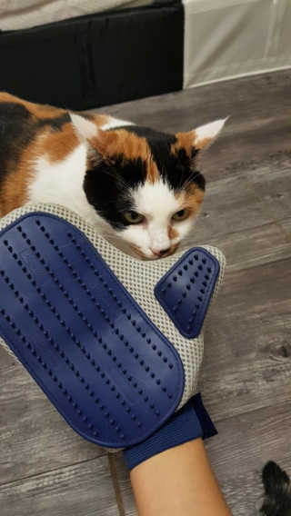 김지운님이 올린 리뷰 사진 3