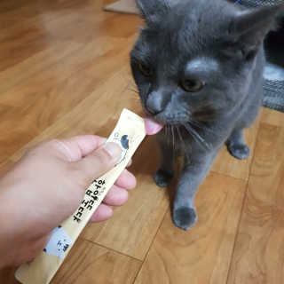 [펫토리아]짜먹는 한입뚝딱 강아지.고양이 마약간식 — 5점을 준 리뷰어가 2019년 7월 올린 사용 사진
