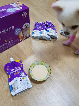 닥터할리펫밀크 8종 — 5점을 준 리뷰어가 2019년 4월 올린 사용 사진