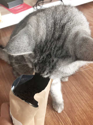 jinvely님이 올린 리뷰 사진 3