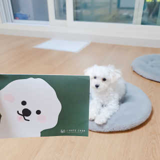 예지니님이 올린 리뷰 사진 2