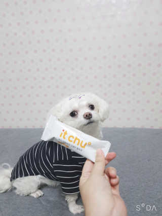 두부님이 올린 리뷰 사진 1