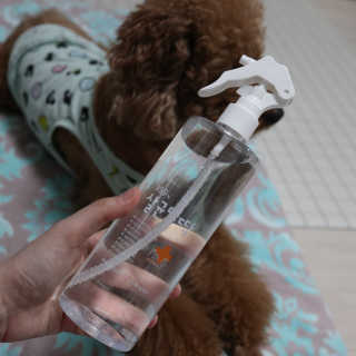 [펫토리아]살균뚝딱 강아지 고양이 살균소독제 탈취제 — 5점을 준 리뷰어가 2020년 3월 올린 사용 사진