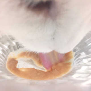 자몽이님이 올린 리뷰 사진 4