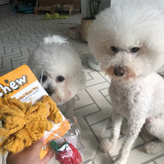 윤토마토님이 올린 리뷰 사진 4