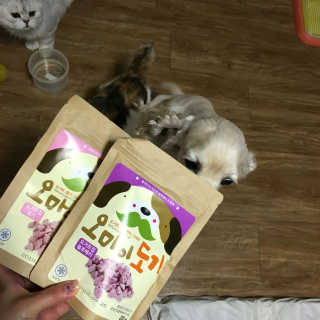 요타짱님이 올린 리뷰 사진 1