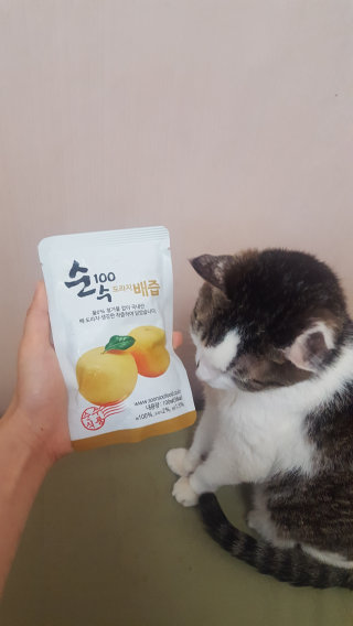 루잉루잉님이 올린 리뷰 사진 1