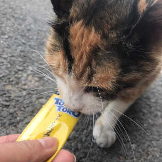 MIRA님이 올린 리뷰 사진 1