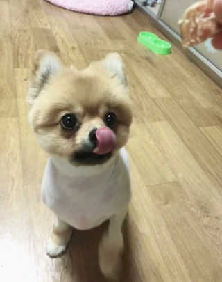 정화님이 올린 리뷰 사진 1