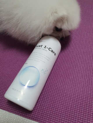 [펫토리아] 뚝딱케어 강아지 고양이 다목적세정제 — 5점을 준 리뷰어가 2020년 2월 올린 사용 사진