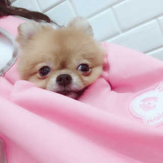뵤링님이 올린 리뷰 사진 2