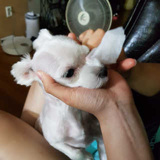 수빈님이 올린 리뷰 사진 3