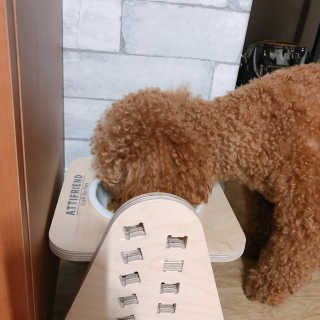 파이님이 올린 리뷰 사진 3