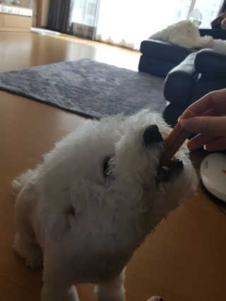 최시아님이 올린 리뷰 사진 4