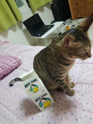 김정년님이 올린 리뷰 사진 2