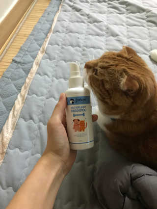 오유란님이 올린 리뷰 사진 3