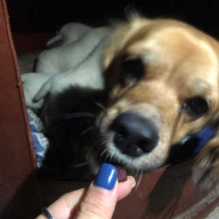 리기님이 올린 리뷰 사진 3