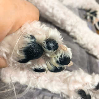 이이이잉ㅇ님이 올린 리뷰 사진 3