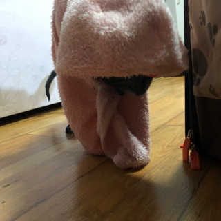 꽃길만걷자탄아님이 올린 리뷰 사진 1