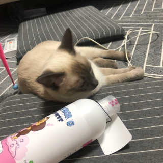 Canteen님이 올린 리뷰 사진 2